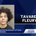 Diego Stalin Tavarez Fleury mugshot - mugged elderly woman